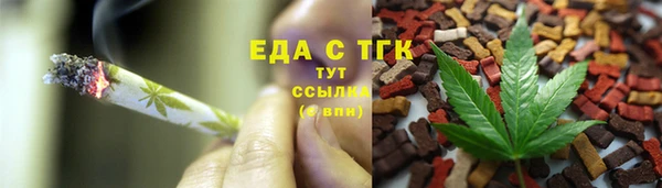 индика Аркадак