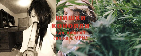 бошки Арсеньев