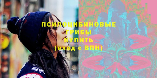 индика Аркадак