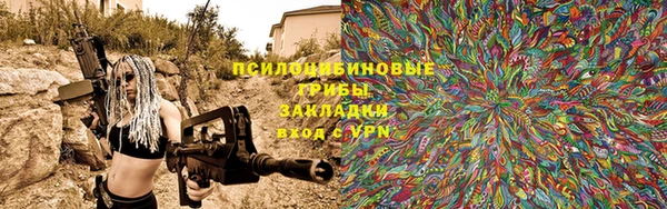 индика Аркадак