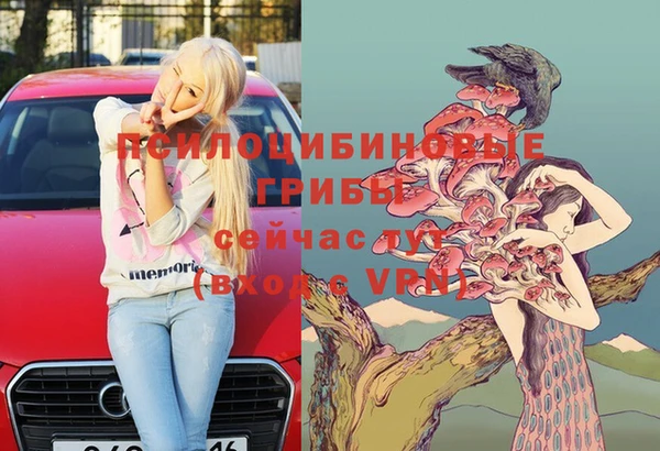 индика Аркадак