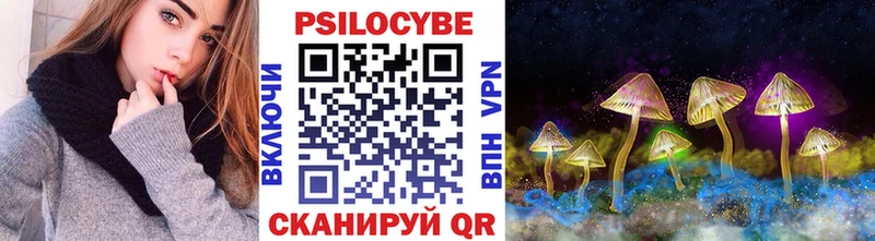 mega зеркало  Боровичи  Галлюциногенные грибы Psilocybine cubensis 